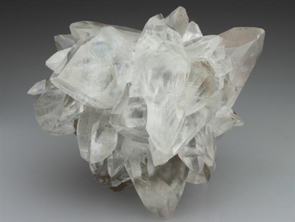 CC2264 specimen image