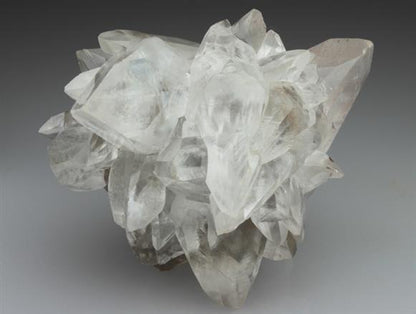 CC2264 specimen image
