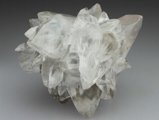 CC2264 specimen image