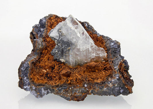 CC22768 specimen image