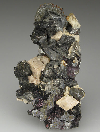 CC2281 specimen image