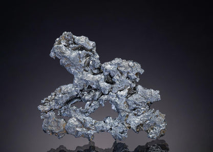 CC2291 specimen image