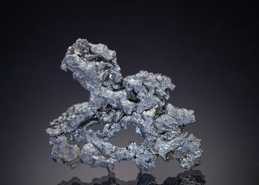 CC2291 specimen image