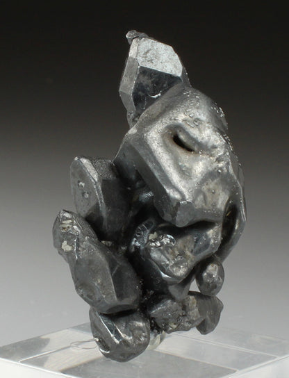 CC2292 specimen image