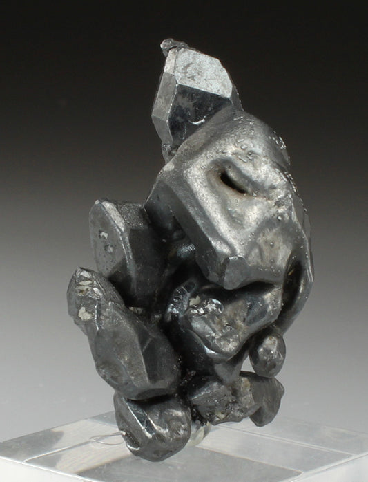 CC2292 specimen image