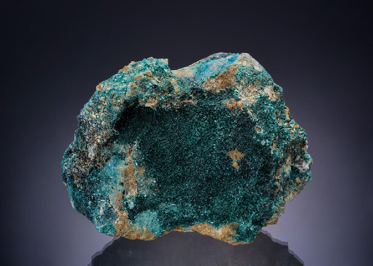 CC22964 specimen image