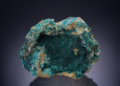 CC22964 specimen image