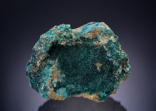 CC22964 specimen image