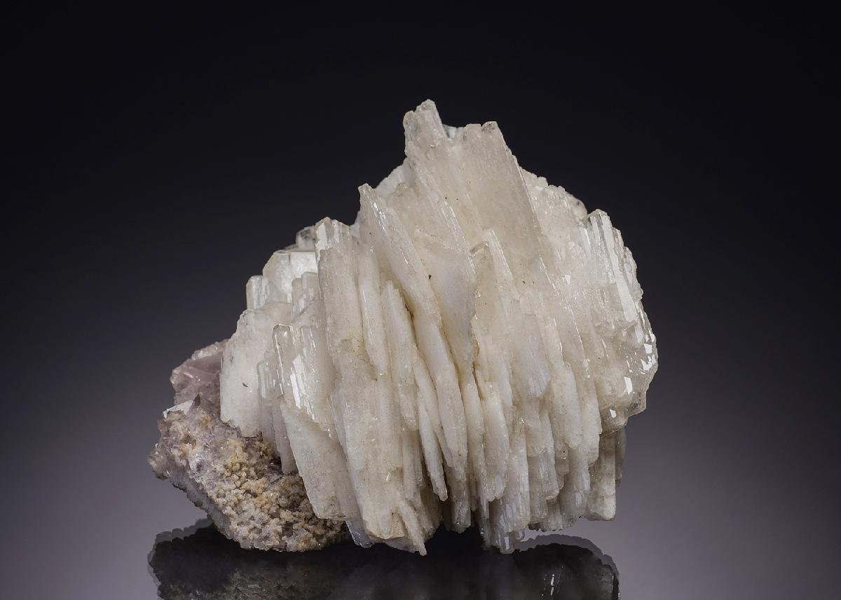 CC2305 specimen image