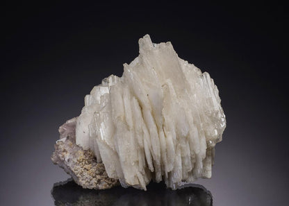 CC2305 specimen image