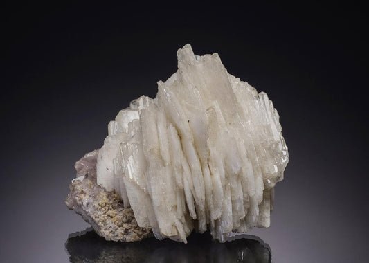 CC2305 specimen image