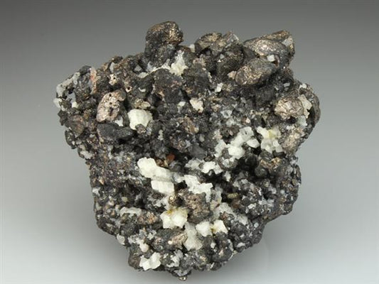 CC2312 specimen image