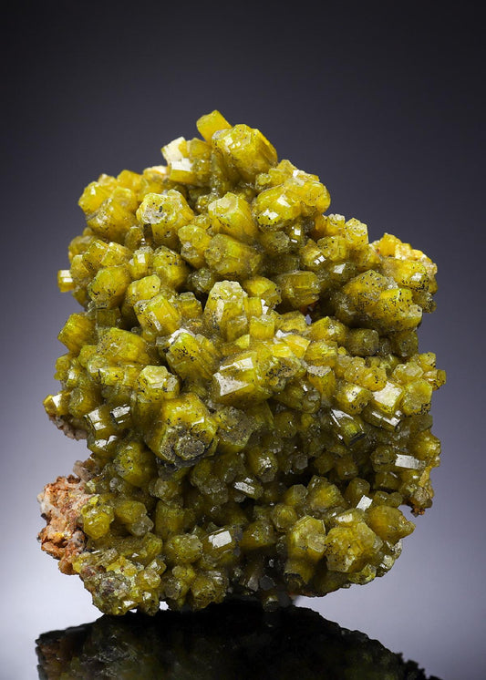 CC2314 specimen image