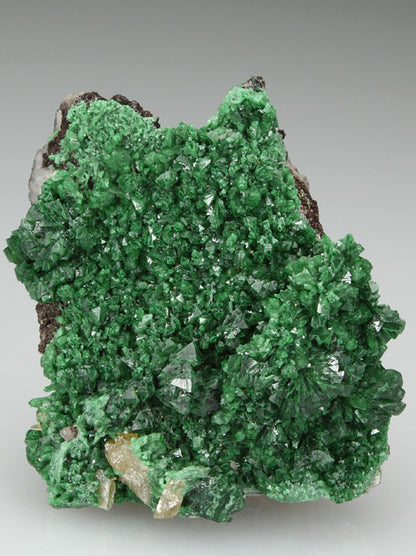 CC2333 specimen image