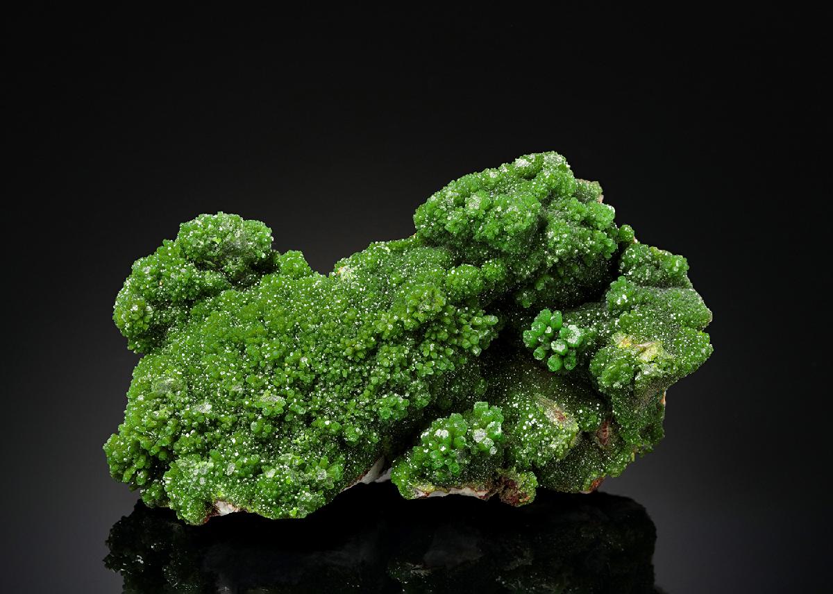 CC23520 specimen image