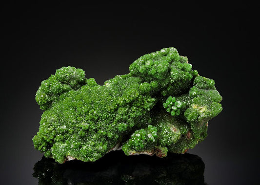 CC23520 specimen image