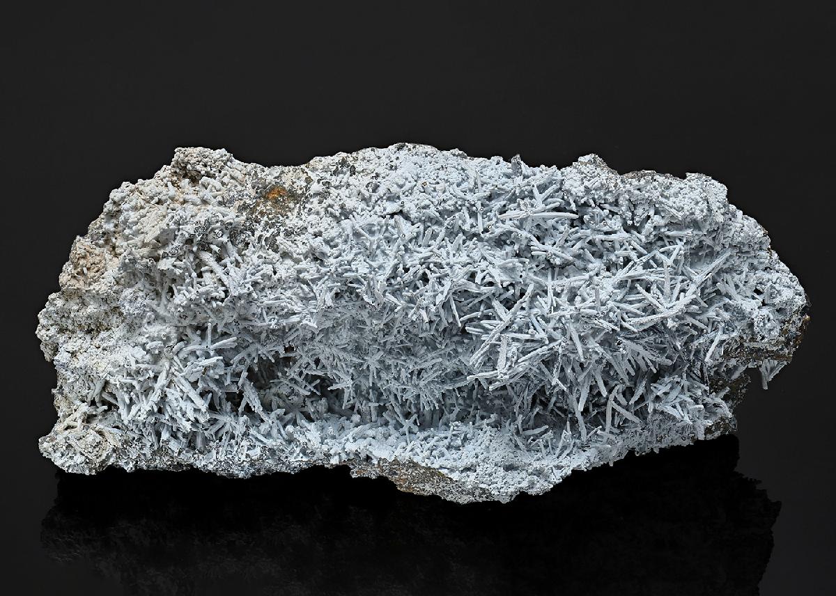 CC23532 specimen image