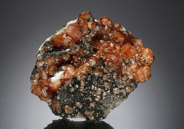 CC23610 specimen image