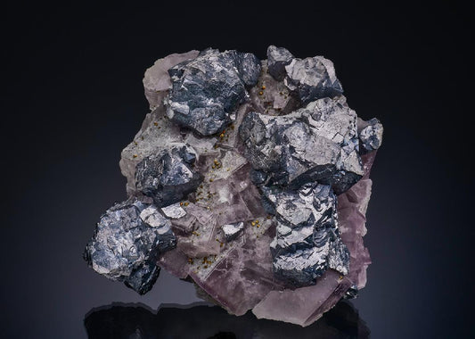 CC23624 specimen image
