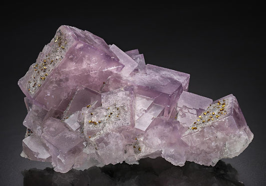 CC23661 specimen image