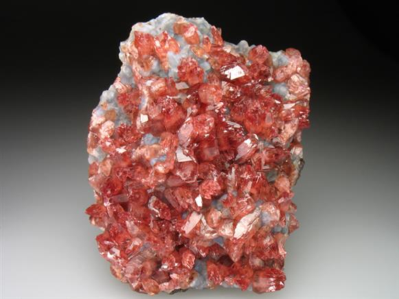 CC2389 specimen image