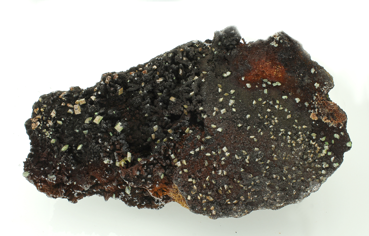 CC24171 specimen image