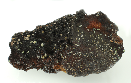 CC24171 specimen image