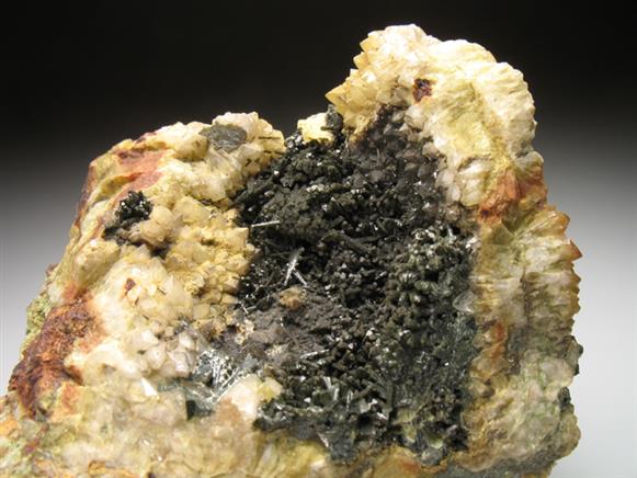 CC2424 specimen image