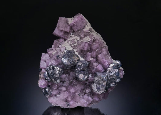 CC24325 specimen image