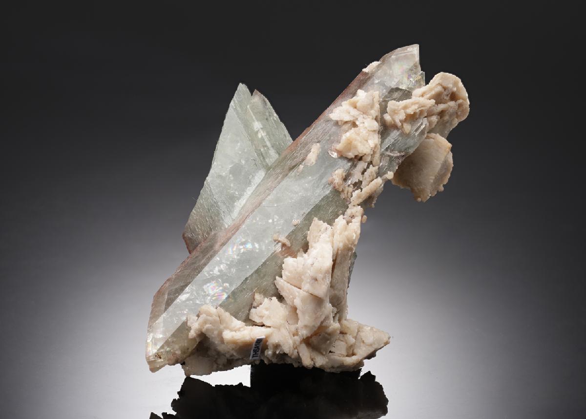 CC2437 specimen image