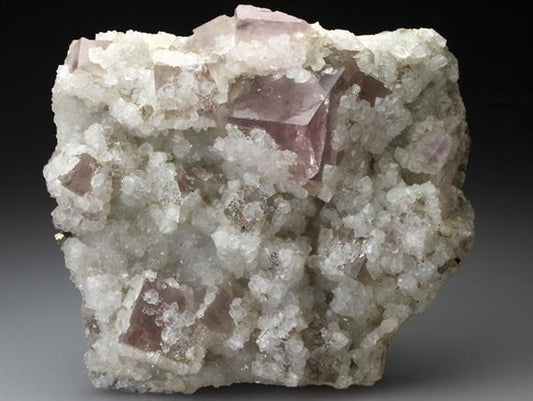 CC2441 specimen image