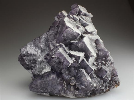 CC2460 specimen image