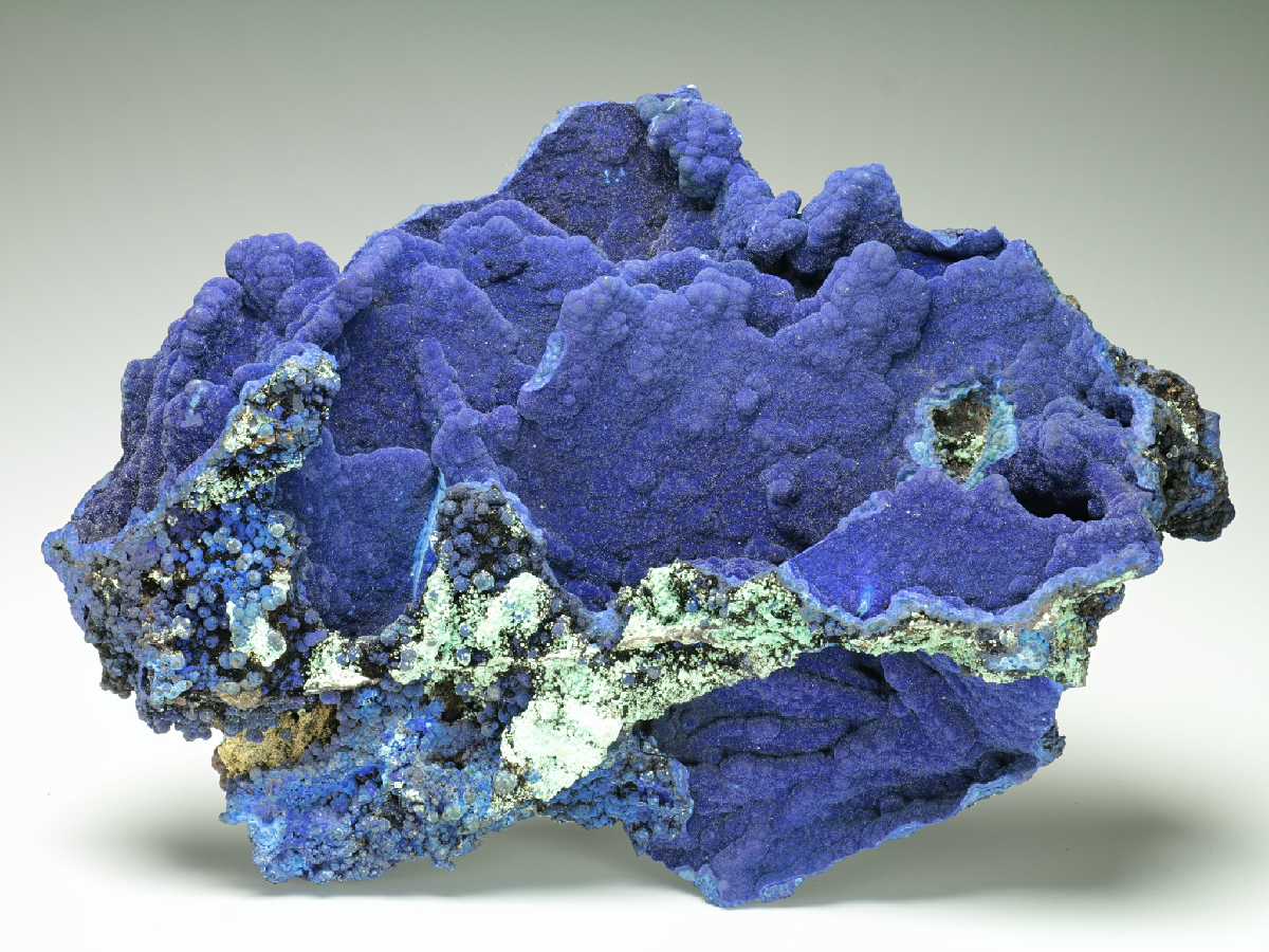 CC24688 specimen image