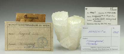 CC24726 specimen image