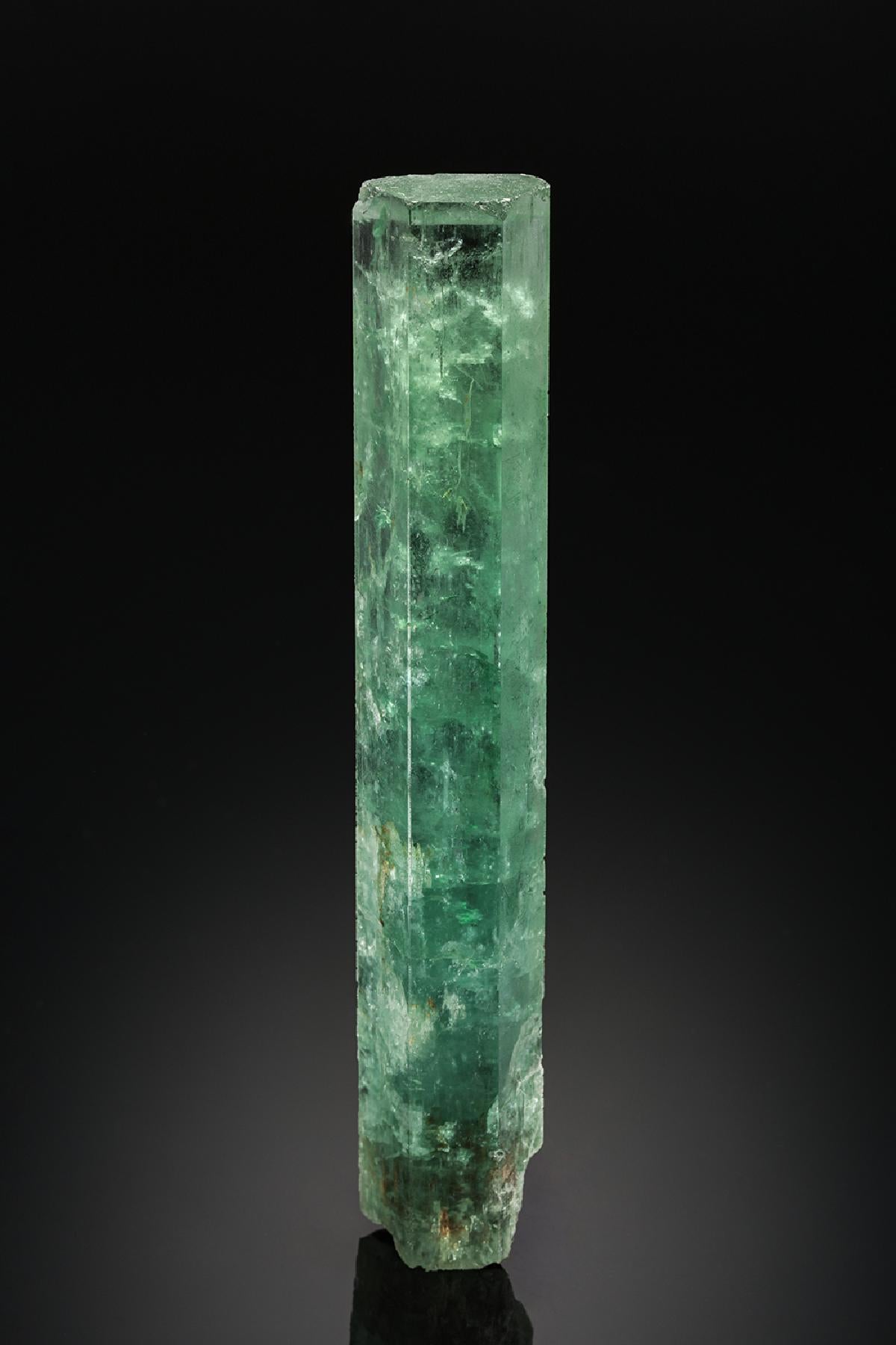 CC24749 specimen image