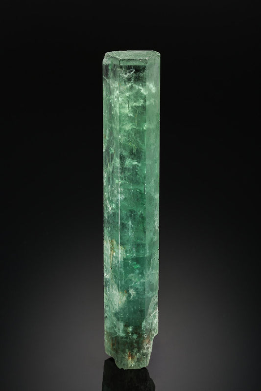 CC24749 specimen image
