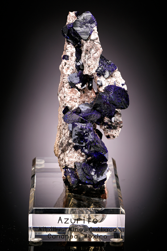 CC24881 specimen image