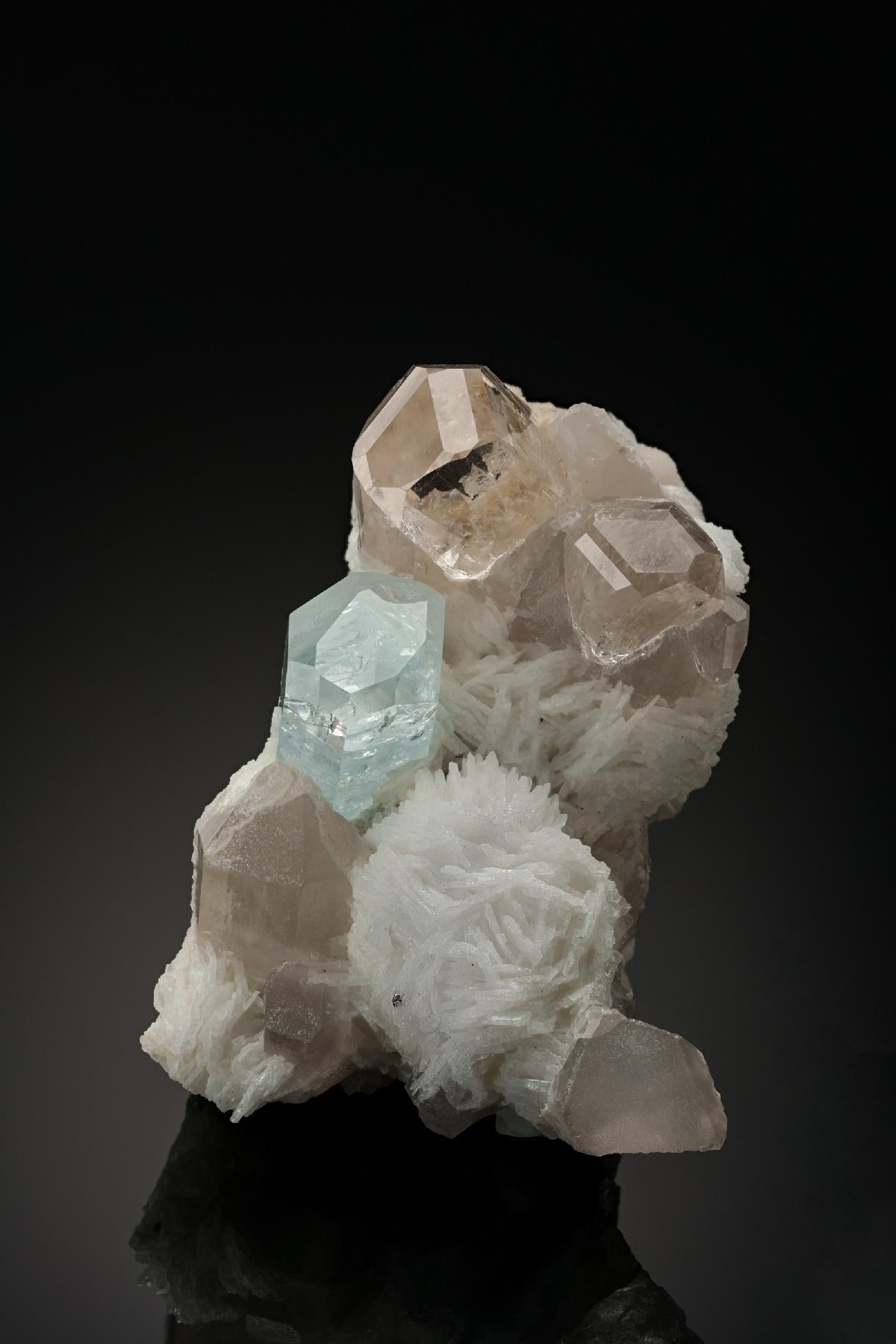 CC24888 specimen image