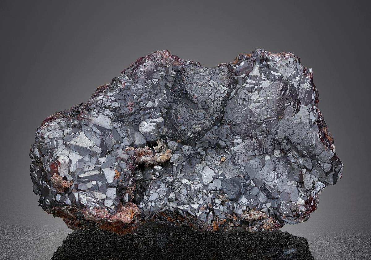CC24906 specimen image