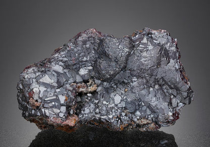 CC24906 specimen image
