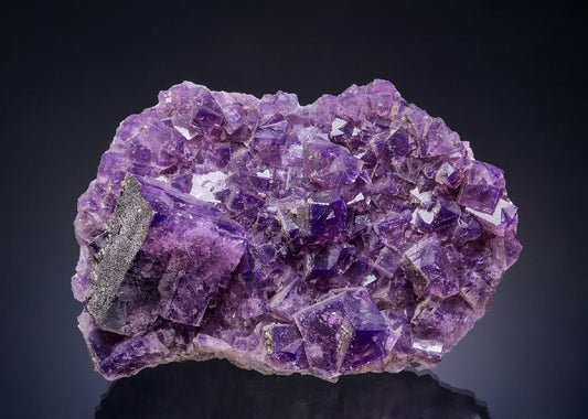 CC25126 specimen image