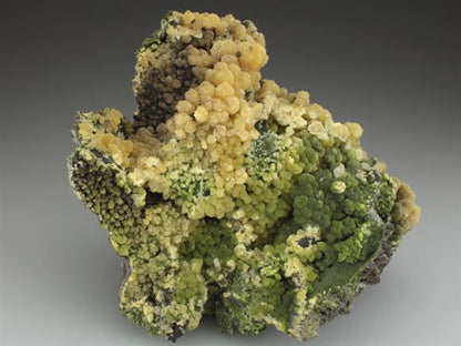 CC2521 specimen image