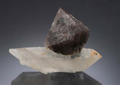 CC2549 specimen image
