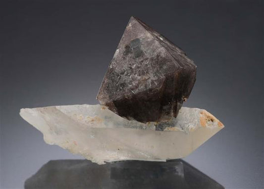 CC2549 specimen image