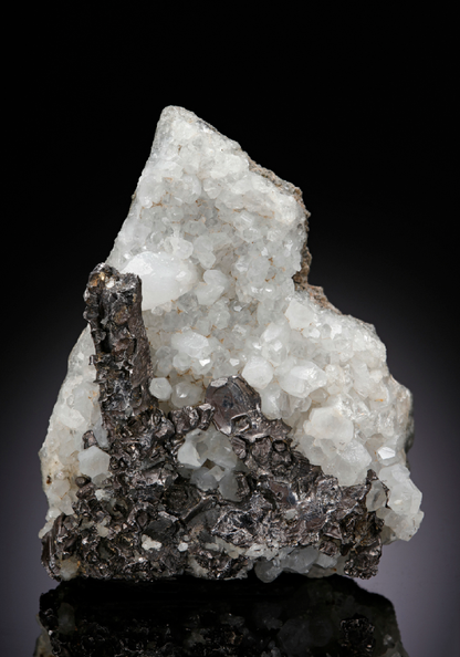 CC25624 specimen image