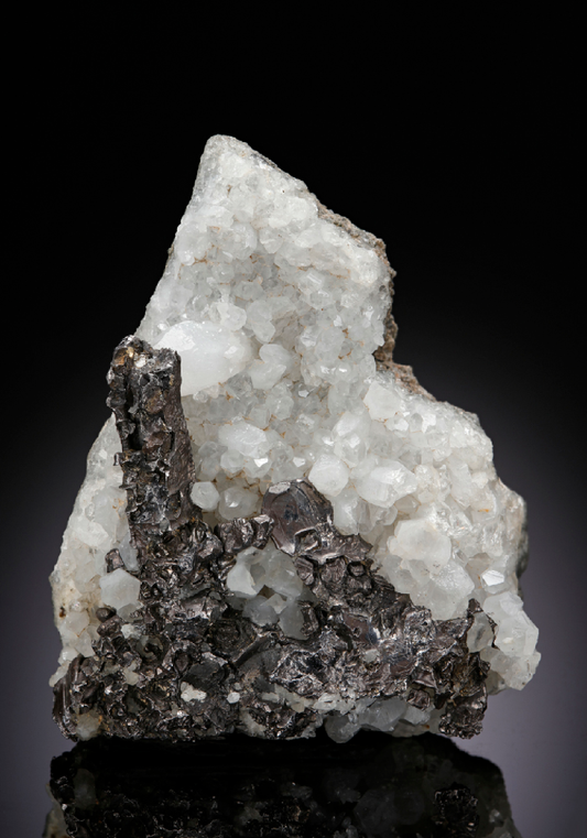 CC25624 specimen image