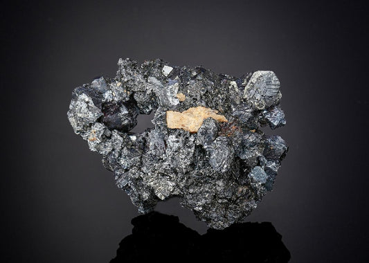 CC25630 specimen image