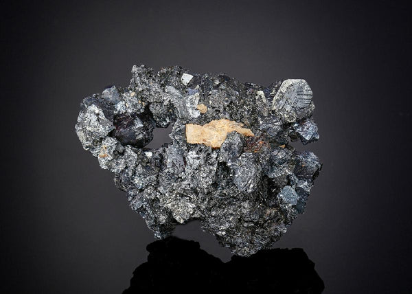CC25630 specimen image