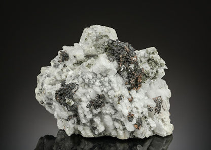 CC25642 specimen image