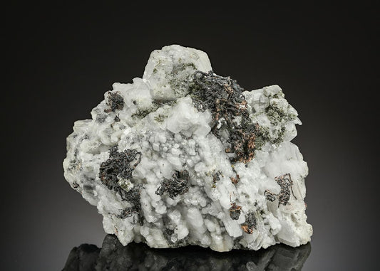 CC25642 specimen image